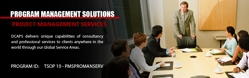 Program Management Services