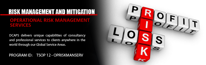 Operational Risk Management Services